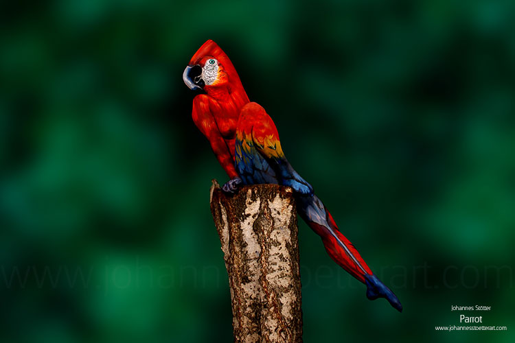 Bodypainting auf Frau: Parrot von Johannes Stötter