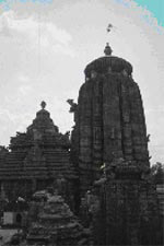 vasati02 vasati02