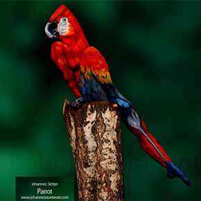 Bodypainting auf Frau: Parrot von Johannes Stötter